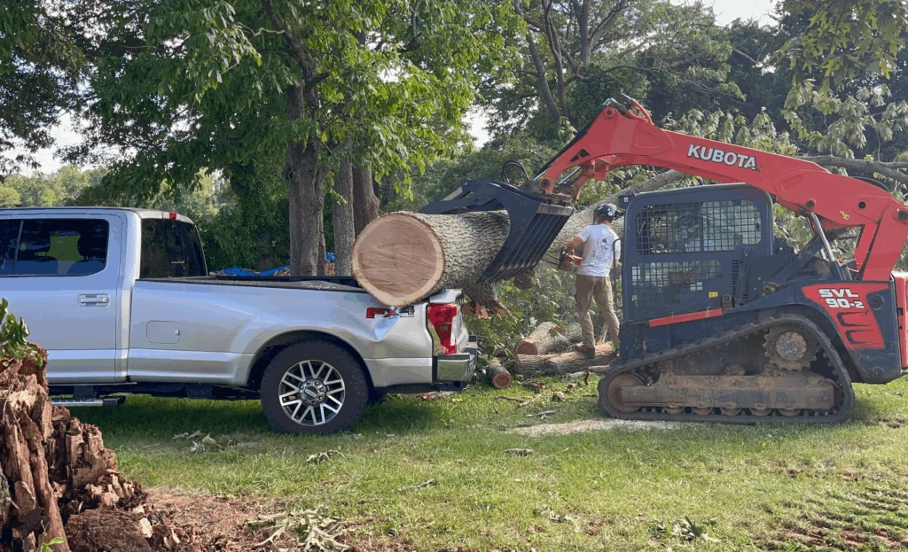storm damage tree cleanup